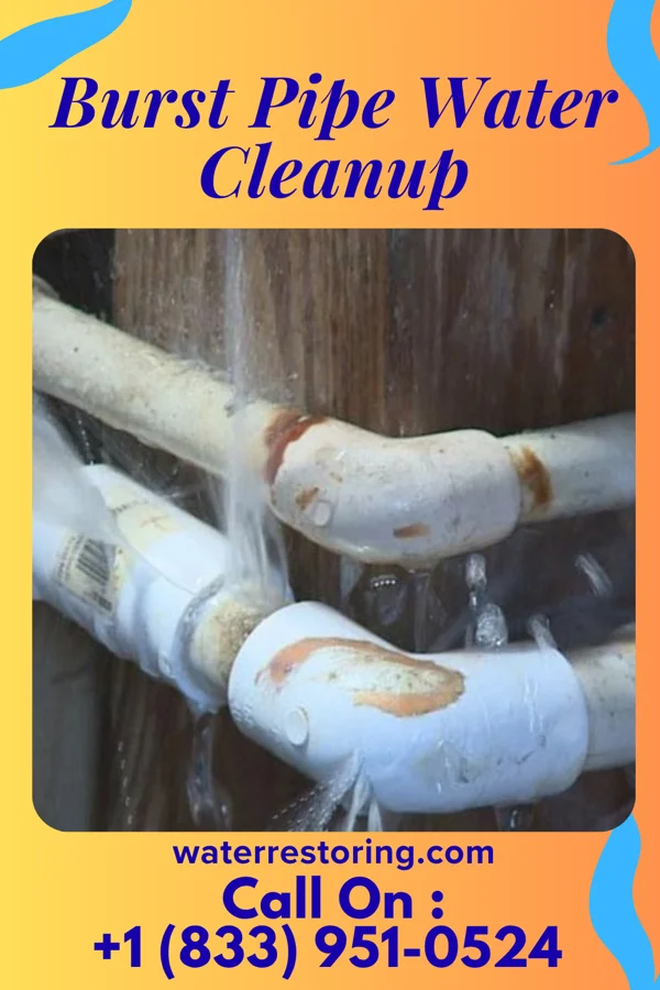 Burst Pipe Water Cleanup in Irondale, GA