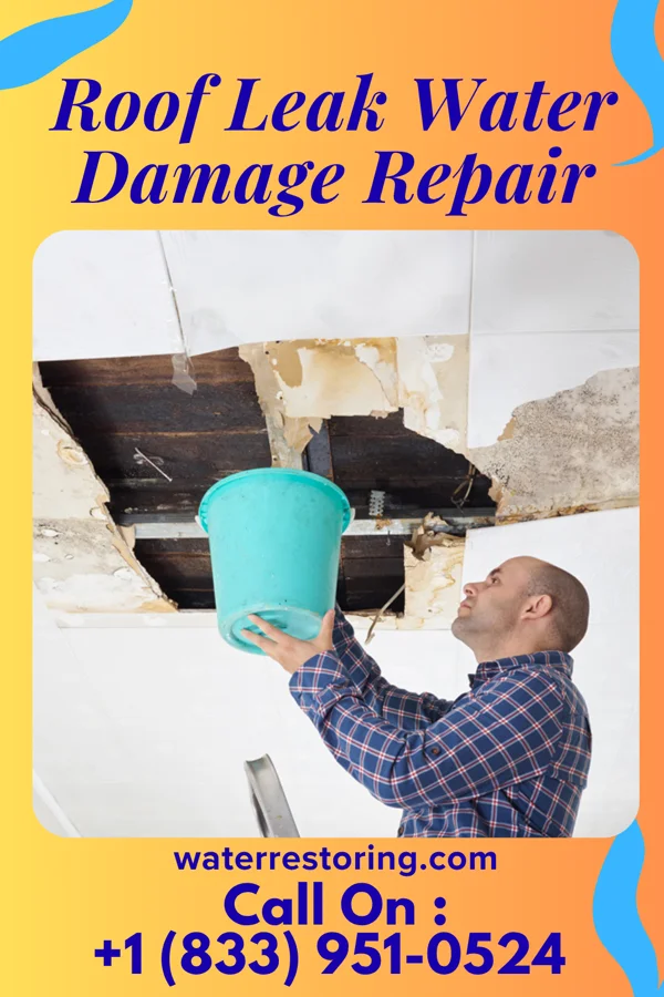 Roof Leak Water Damage Repair in Irondale, GA